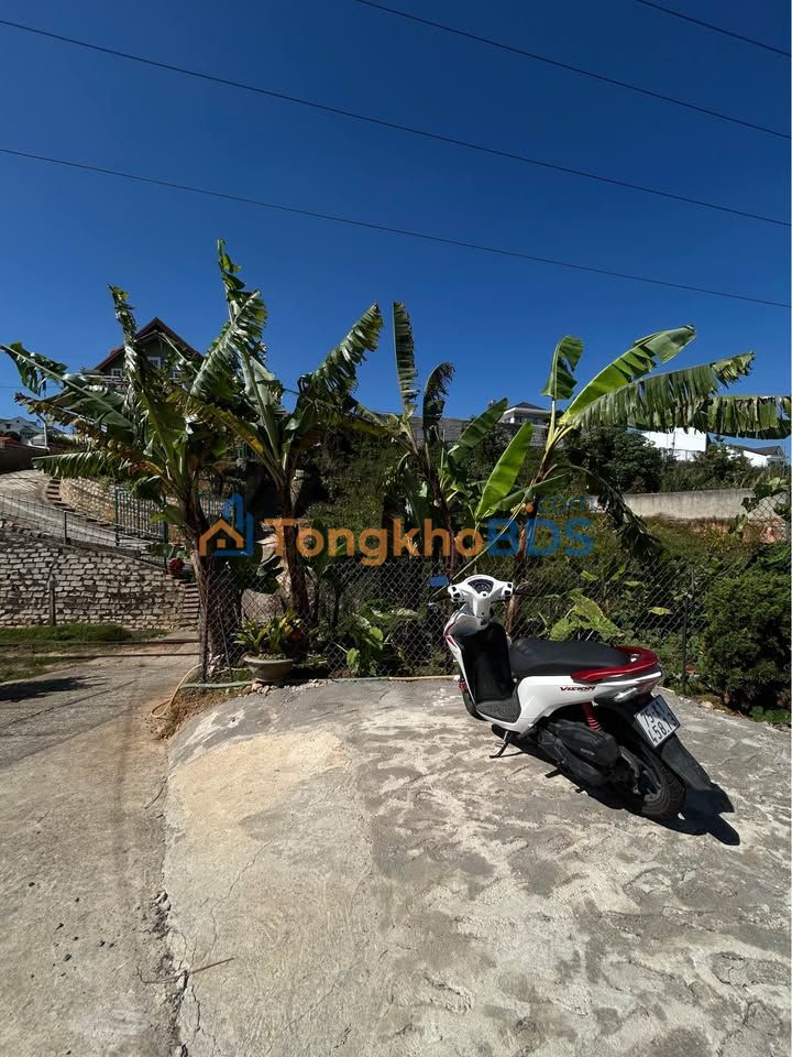 Đất Nam Hồ, Bảo Lộc 500m² - Sổ Chung, Giá 950 Triệu Thương Lượng