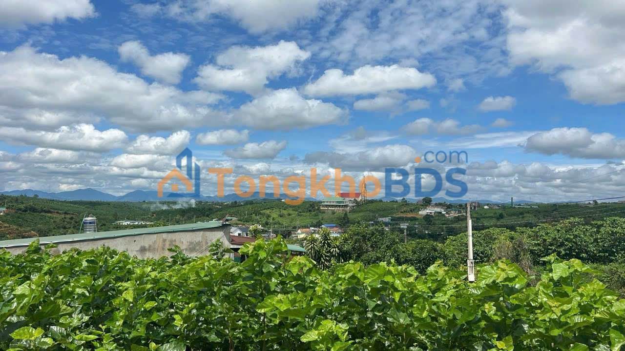 Farm Đà Lạt 1150m² - Vườn trái cây trĩu quả, Sẵn 200m² Thổ cư