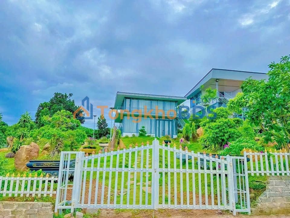 Đất homestay Đạ Nhim 836m² 2,6 tỷ - Sổ đỏ chính chủ