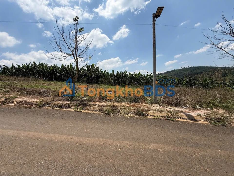 Không thể hoàn thành bài viết