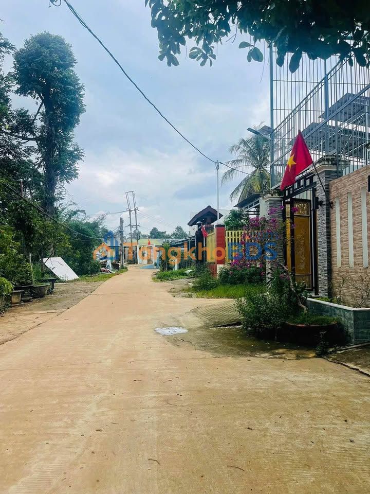 Đất ở Đắk Nia Gia Nghĩa 730m² 900 triệu - Đường to ô tô