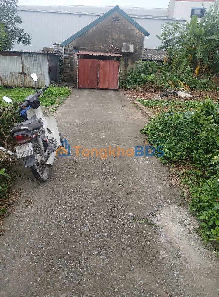 Đất Nền Hưng Yên 54.8m² - Sổ Đỏ Sẵn Sàng, Giá Chỉ 1 Tỷ