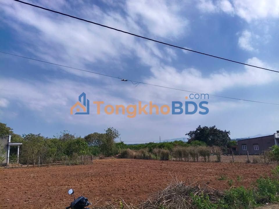 Đất nền Xuyên Mộc BRVT 2020m² 3.8 tỷ - Đường to ô tô