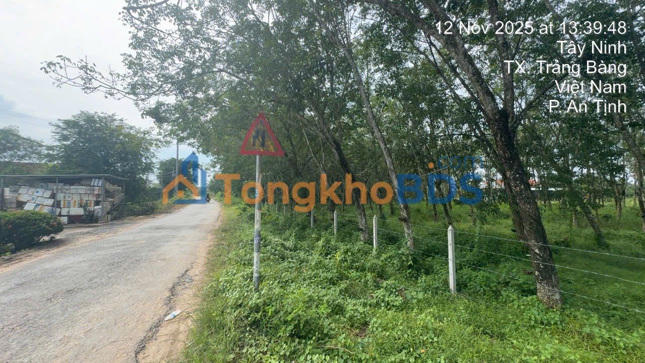 Đất nền An Tịnh Trảng Bàng 4.000m² 8 tỷ - Đường to ô tô