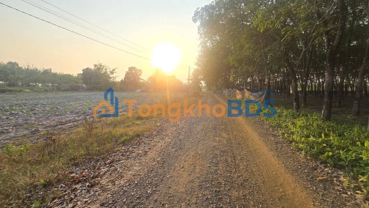 Awaiting User Approval