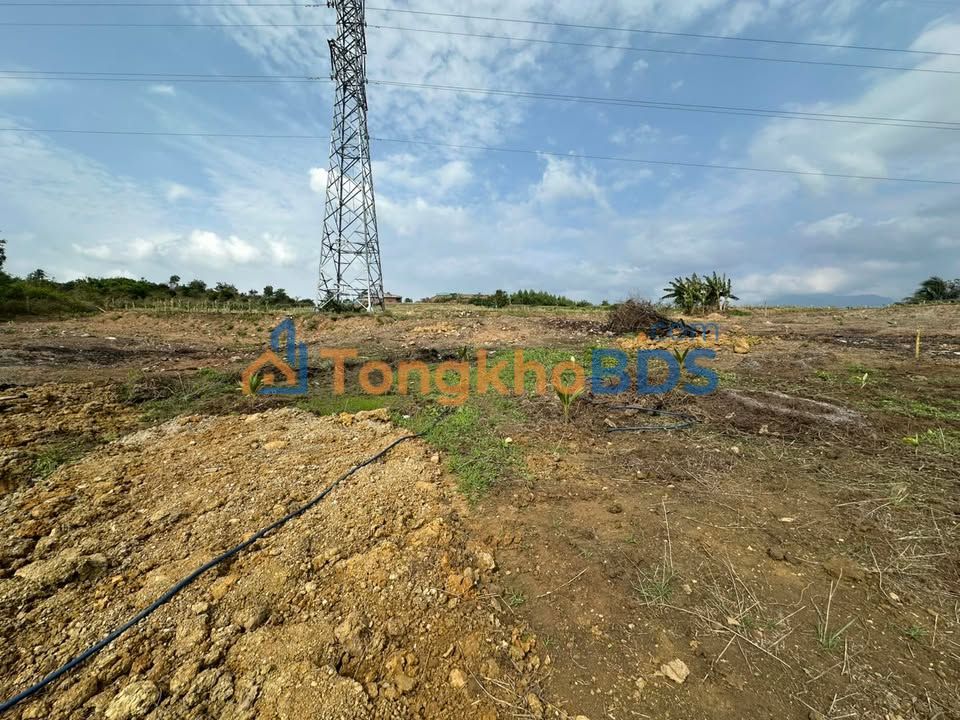 Đất vườn Ninh Sơn Khánh Hòa 100.000m² 8,5 tỷ - Sinh thái xanh