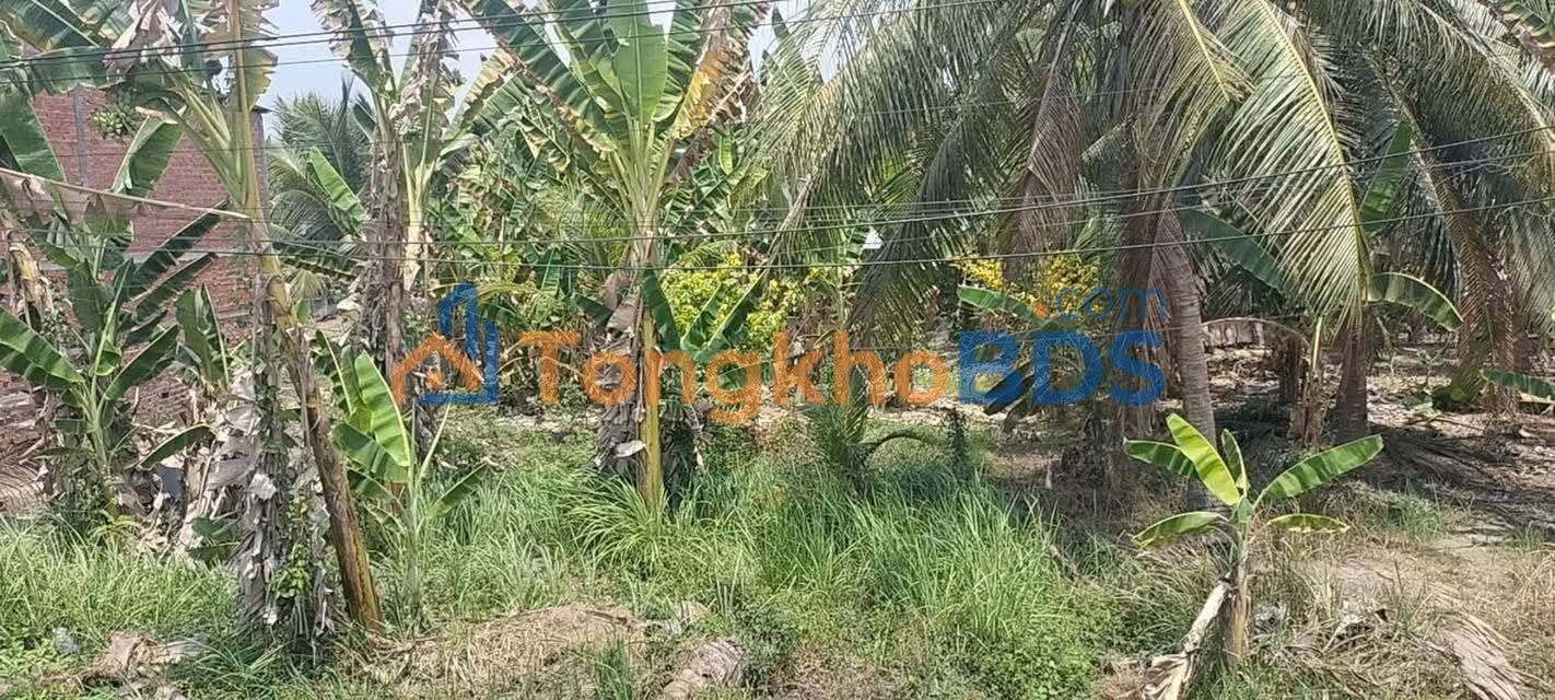 Land Chợ Gạo Tiền Giang 640m² 2.64 tỷ - Sổ đỏ chính chủ, xây kho/tự do