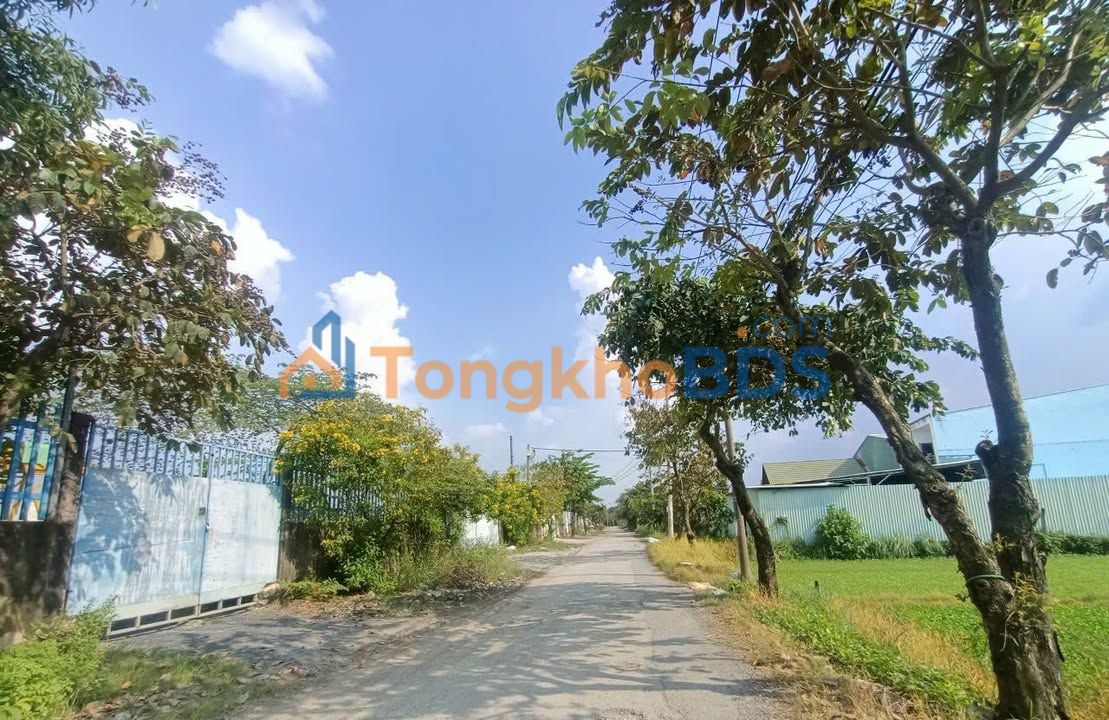 Đất Mặt Tiền Nhị Bình 4 Hóc Môn - 1.638m² - Sẵn Sàng Xây Dựng - 20 Tỷ