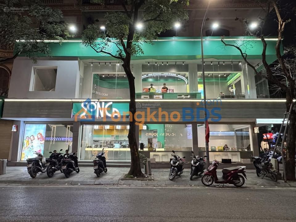 Nhà phố Nguyễn Khánh Toàn 350m² - Mặt tiền kinh doanh