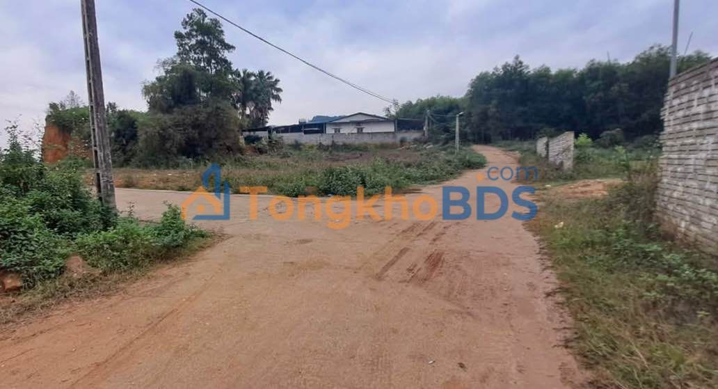 Bán Đất Thổ Cư 364m² Vĩnh Tường - Sổ Sẵn, Gần Viện A Mới