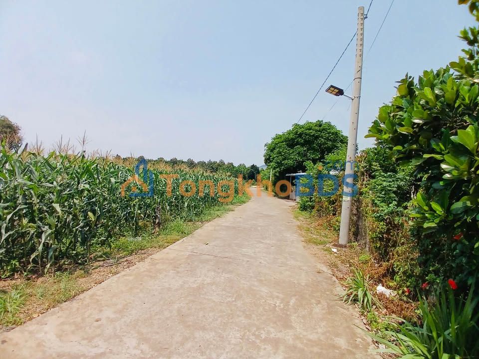 Đất nền Tà Lài Đồng Nai 360m² 500 triệu - Tiềm năng tăng giá