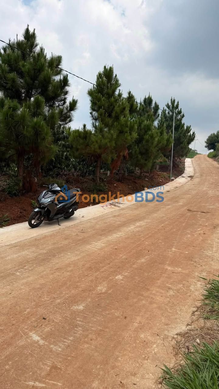 Đất nền Nam Hà Biên Hòa 1056m² 940 triệu - Sổ đỏ chính chủ