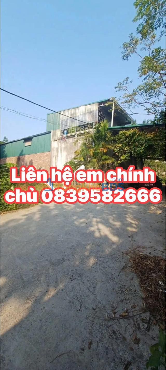 Đất nền Núi Đông, Bắc Ninh 100m² - Sổ đỏ chính chủ