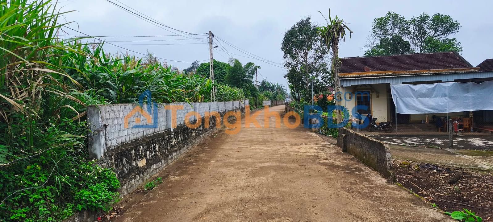 Đất nền Nghĩa Thọ 100m² 300 triệu - Sổ đỏ chính chủ