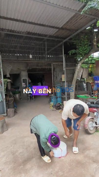 Đất Vàng Tiên Lục, Bắc Giang - Mặt Tiền 7m, 200m², Sổ Hồng Giá 1 Tỷ