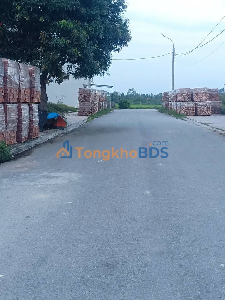 Đất đấu giá TL299 Bắc Giang 90m²/2 tỷ - Hạ tầng hoàn thiện