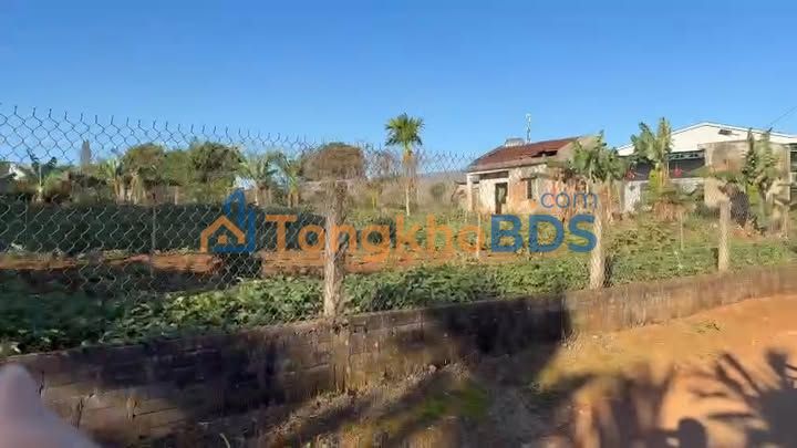 Đất nền Ia Nhin 210m2 thỏa thuận - Sổ đỏ chính chủ