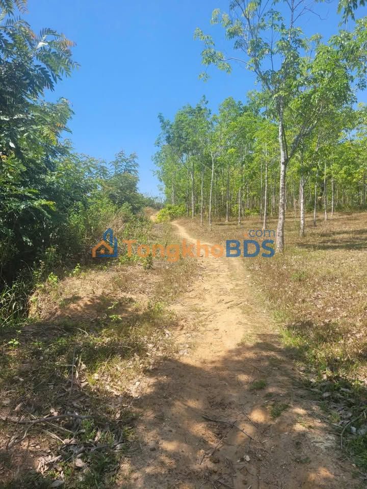 Đất nền Kon Tum Thôn 5 5.355m² giá 1 tỷ - Sổ đỏ chính chủ