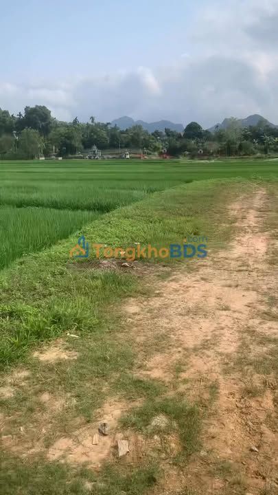 Đất nền Xích Thổ Nho Quan 125m² - Đường ô tô