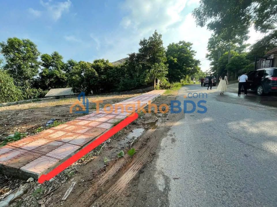 Đất Thanh Vân Tam Dương 96m² 1.6 tỷ - Sổ đỏ chính chủ