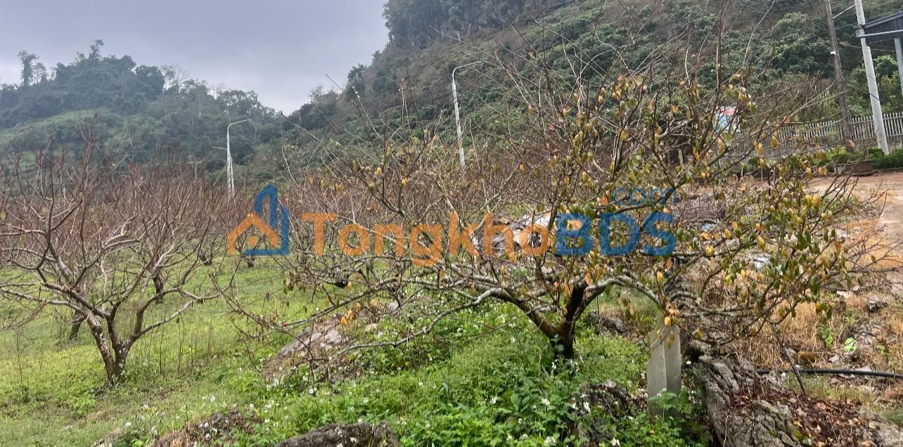 Bán Đất 90m² Huyện Mai Sơn - Sổ Đỏ Full Thổ Cư, Đường 4m