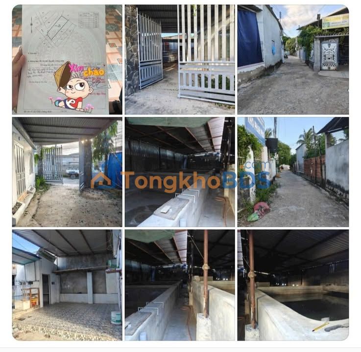 Farm Tri Thủy Ninh Chữ 298m² 2.5 tỷ - Sổ đỏ rõ ràng