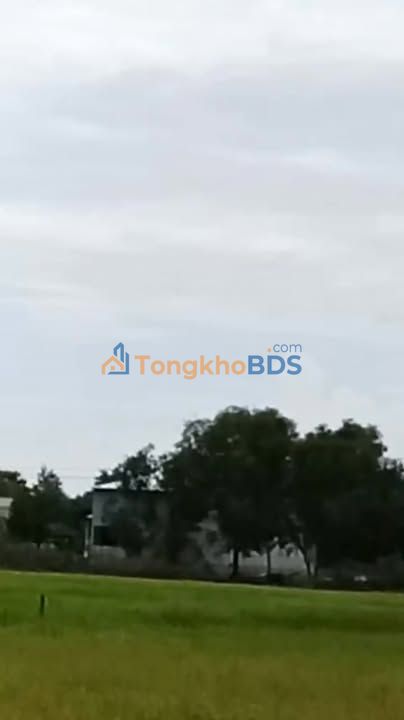 Đất Thanh Hòa Bù Đốp 1260m² 130 triệu - Tiềm năng tăng giá