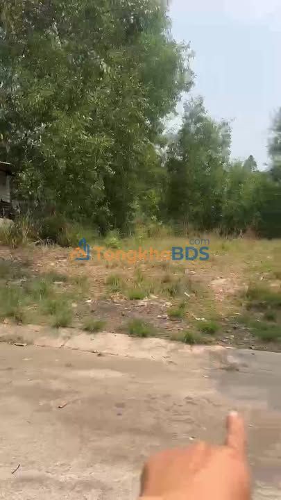 Đất Nền Mỹ Phước 300m² Full Thổ Cư - Giá 3.65 Tỷ