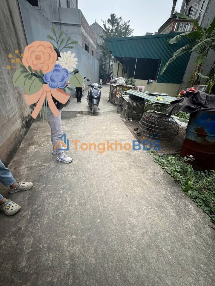 Đất Phù Lạc Cao Viên 97m² 4.85 tỷ - Đường ô tô đỗ cửa