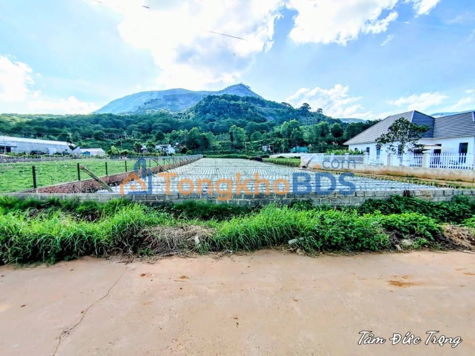 Đất Nền Đức Trọng 6900m² - View Núi Voi Cực Đẹp, Sổ Hồng Chính Chủ