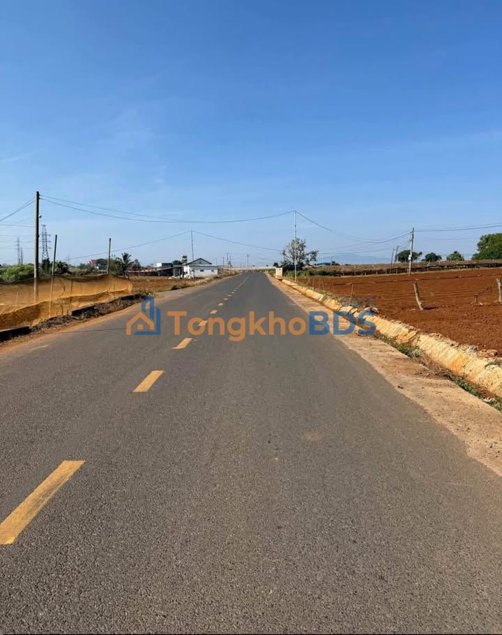 Đất Nền Đức Trọng 145m² Sổ Đỏ Sẵn Sàng - Đầu Tư Sinh Lời Vượt Trội