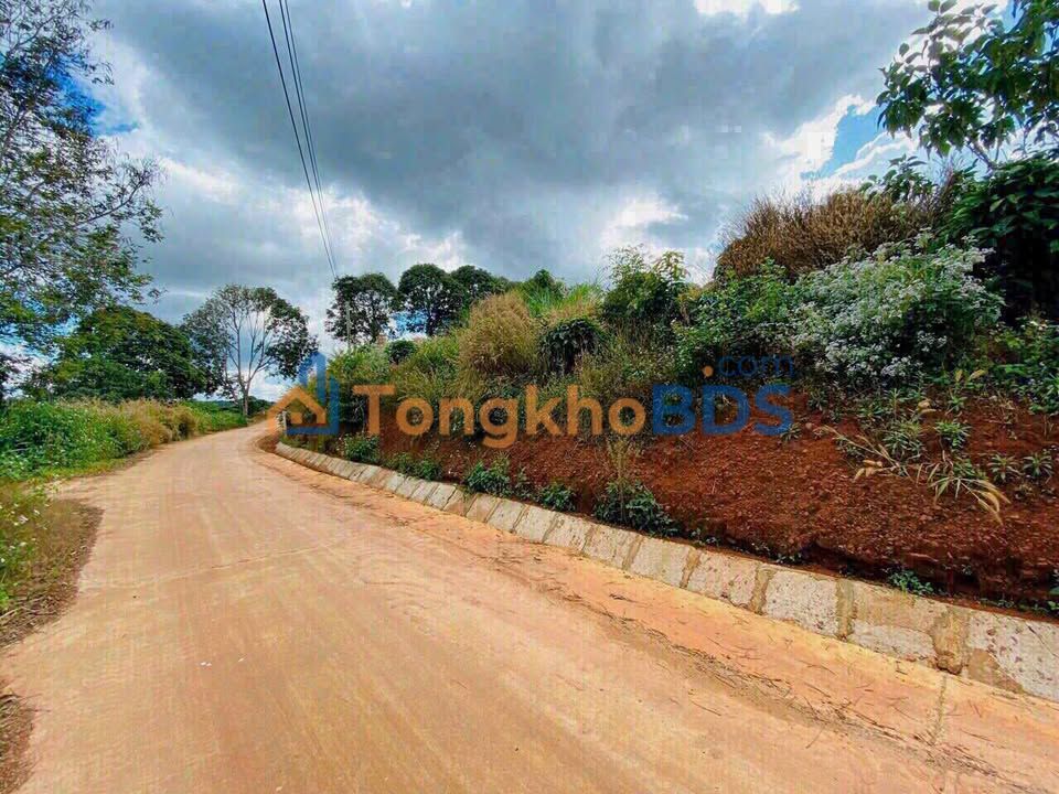 Đất nền Nam Hà Lâm Hà 733m² giá 1.1 tỷ - Sổ đỏ chính chủ