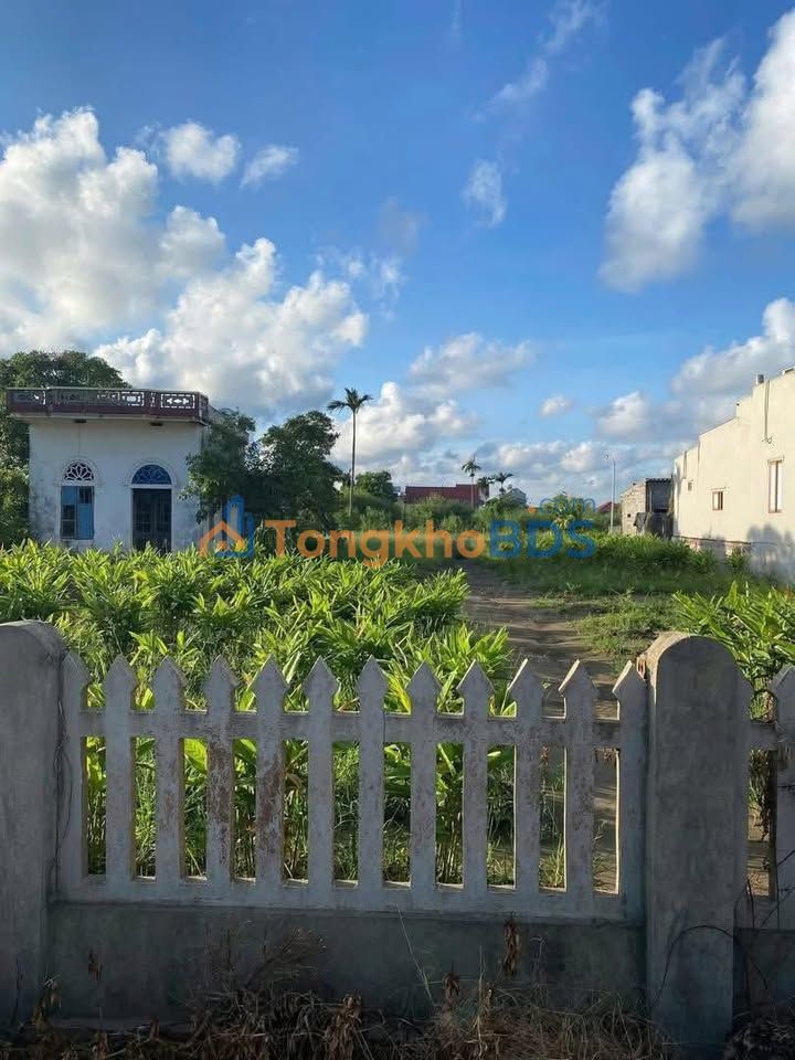 Đất Nam Điền Nghĩa Hưng 150m² - Tiềm năng tăng giá