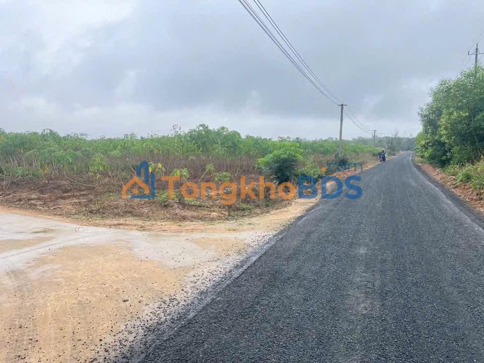 Đất nền Ea Đar 731m² 1.2 tỷ - Đường to ô tô xây tự do