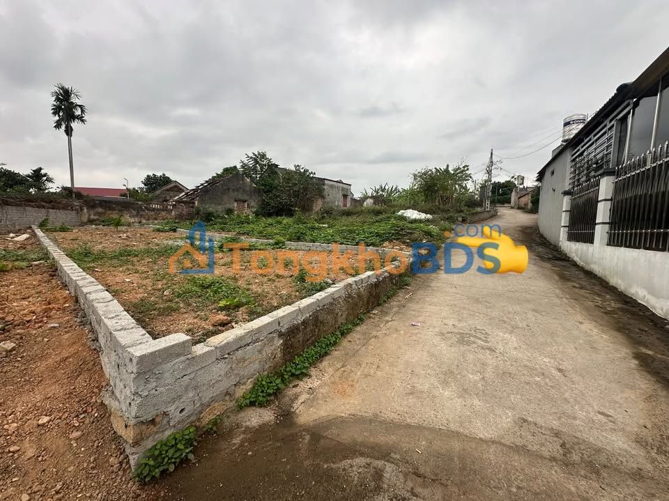 Đất nền Lèo Kép - Lạng Giang 92m² full thổ cư, giá tốt hơn 200 triệu