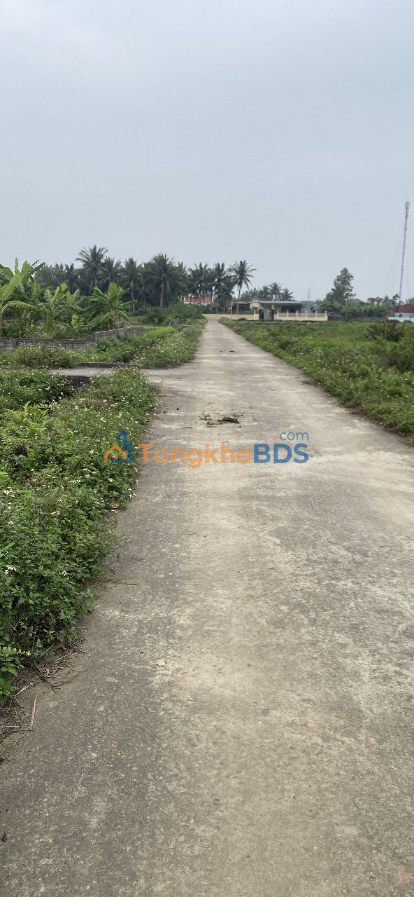 Đất nền Xuân Lộc 176m² 9xx triệu - Đường to ô tô