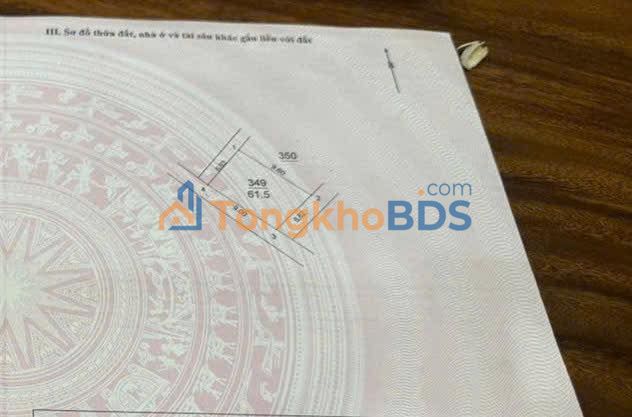 Bán Đất Thôn Quan Nhân, Tam Hưng 61.5m² - Sổ Đỏ Sẵn Sàng