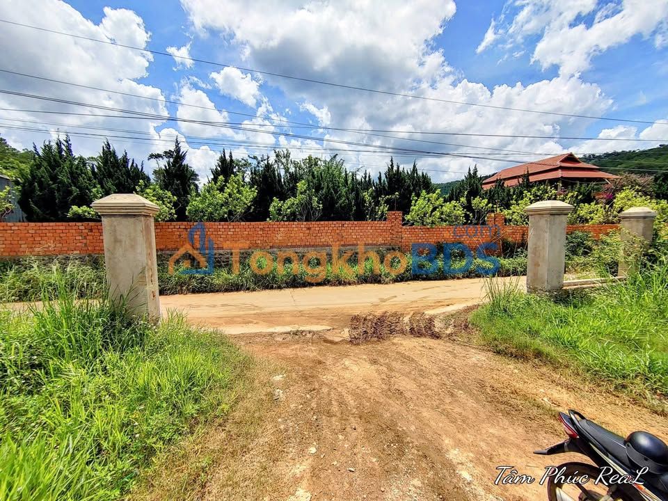 Đất Đinh An Đức Trọng 3.600m² 32.4 tỷ - Sổ đỏ chính chủ