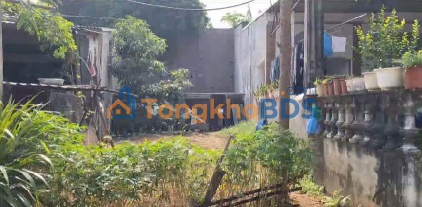 Đất nền Khu phố 12 Thanh Miếu 90m² 1,7 tỷ - Sổ đỏ chính chủ