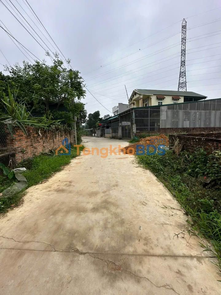 Đất nền Hạ Hòa, Phú Thọ 251m² full thổ - Sổ đỏ chính chủ