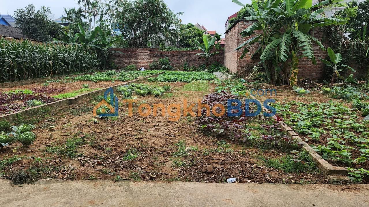 Đất nền Xuân Thu Sóc Sơn 110m² 2.2 tỷ - Sổ đỏ chính chủ