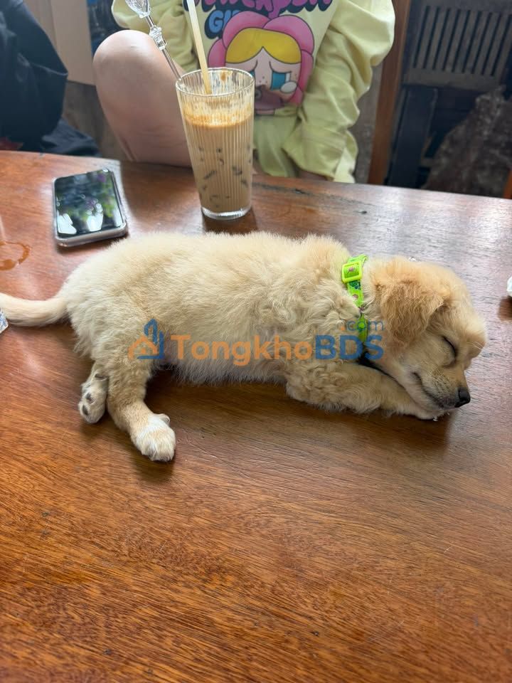 Nhà riêng Trần Đức, Hải Châu 80m² 590 triệu - Chính chủ bán