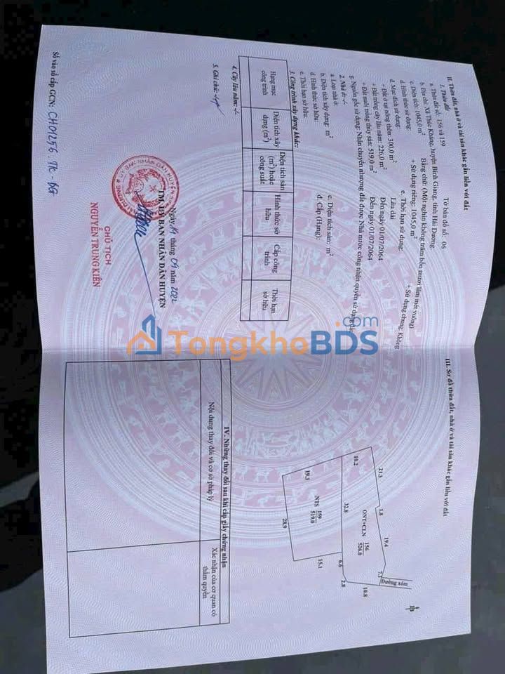 Đất nền An Lão 1000m² 8 tỷ - Sổ đỏ chính chủ xây tự do