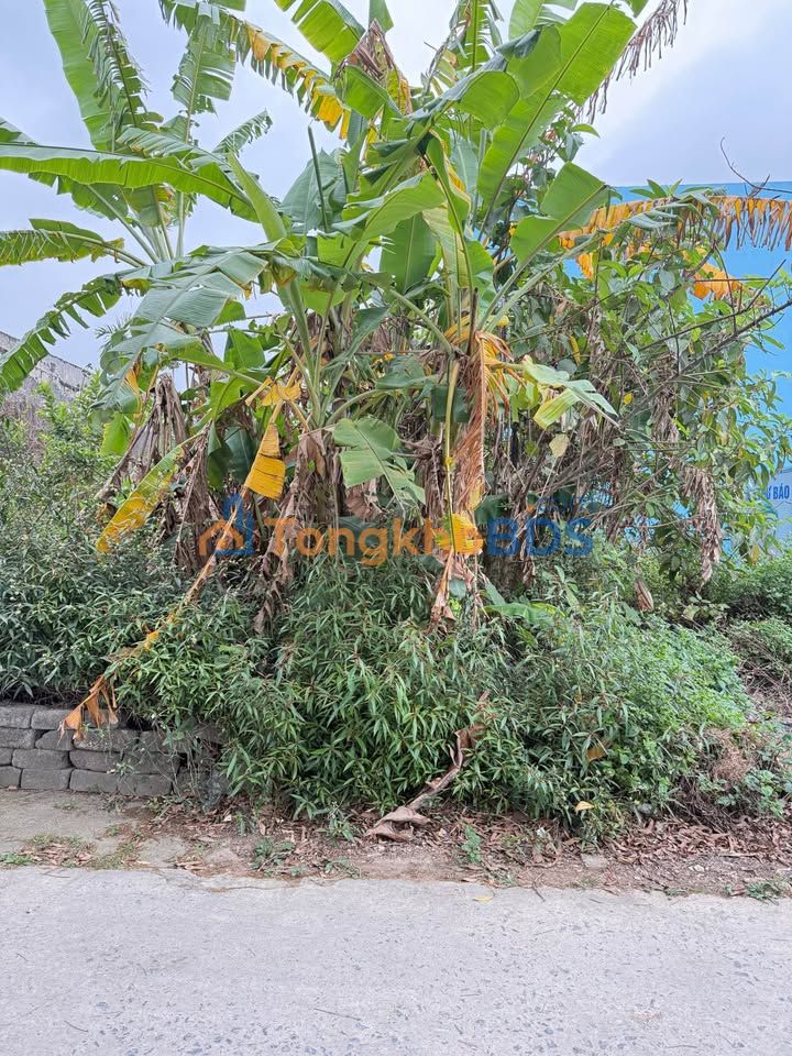 Đất Phạm Ngũ Lão kéo dài Mỹ Trung 80m² 1,6 tỷ - Sổ đỏ chính chủ