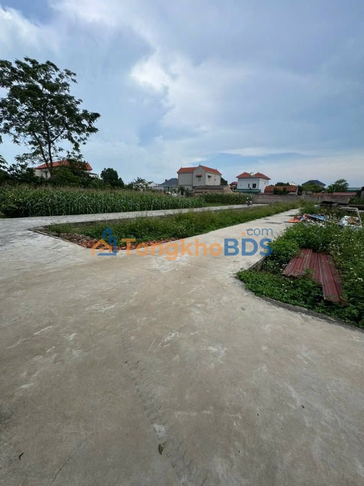 Đất Nền Thường Tín 80m² - Vuông Vắn, Giá Hời, Ô Tô Đỗ Cửa