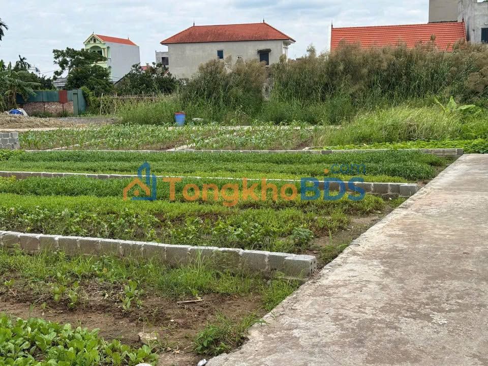 Đất nền Chương Dương Thường Tín 83m² 2,33 tỷ - Giá F0 CĐT