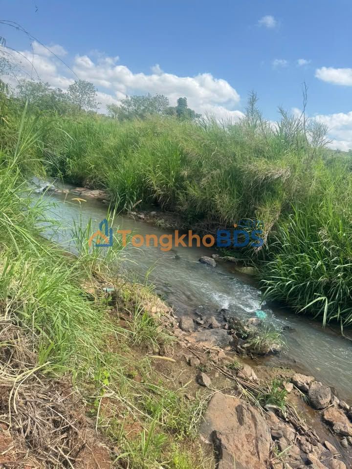 Bán gấp Đất Rẫy Ea Răl 1800m² - Giá 679 Triệu, Sổ Đỏ Sẵn