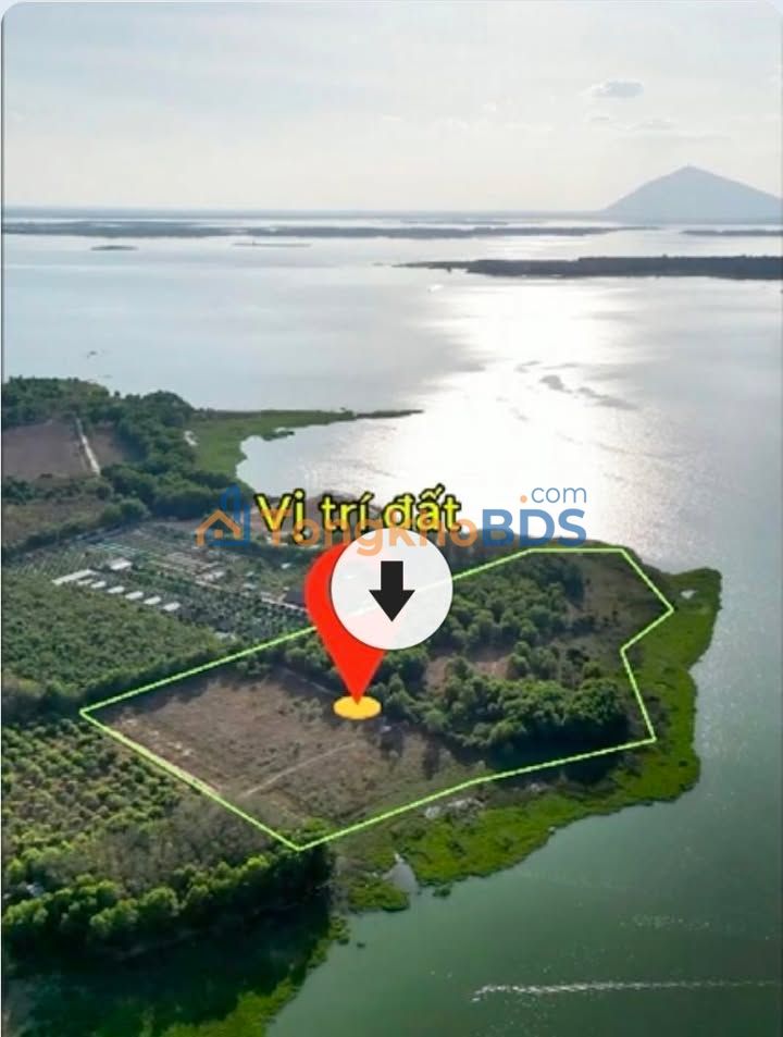 Bán Đất Vườn Dầu Tiếng 5.2ha Mặt Hồ - Tiềm năng Du lịch Halal & Farmstay