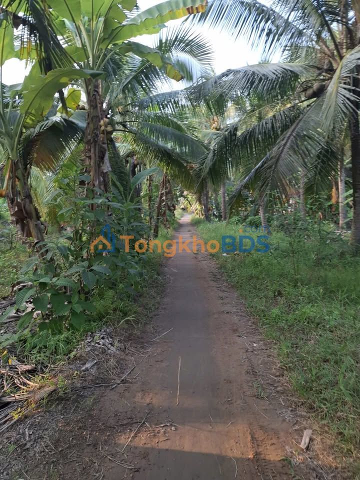 Đất vườn Tân Thành Bình 1500m² 750 triệu – Sinh thái xanh