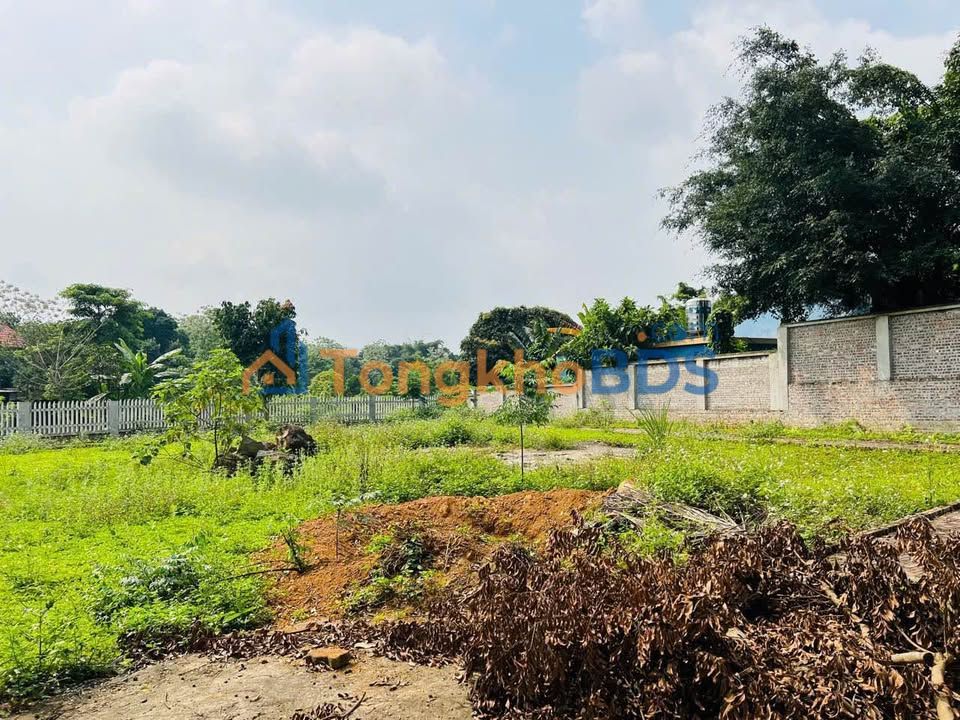 Đất Thôn Muỗi Ba Vì 300m² thỏa thuận - Xây dựng tự do